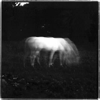 Keith Carter, WHITE HORSE IN MOONLIGHT
Photography, 15 x 15 in. (38.1 x 38.1 cm)
Framed 25" x 25"
CAR005
$1,200
Gallery staff will contact you 72 hours after purchase regarding any additional shipping costs.