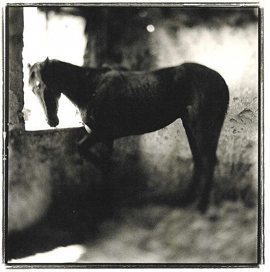 Keith Carter, YOUNG STALLION
Photography, 15 x 15 in. (38.1 x 38.1 cm)
Framed 25" x 25"
CAR006
$1,200
Gallery staff will contact you 72 hours after purchase regarding any additional shipping costs.