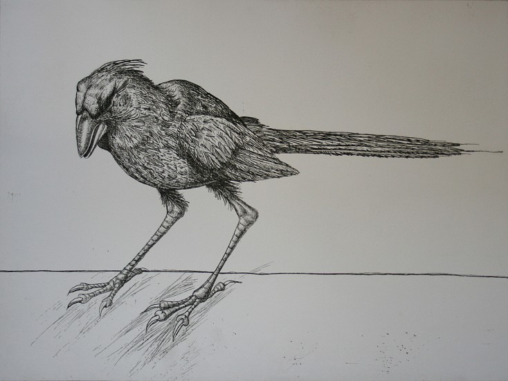 D. J. Lafon, PUNK BIRD
Etching, 21 x 33 in.
LAF1121
$750
Gallery staff will contact you 72 hours after purchase regarding any additional shipping costs.