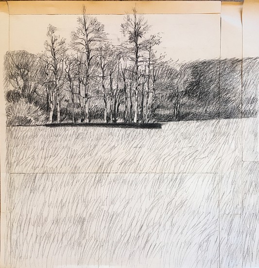 D. J. Lafon, UNTITLED (TREES IN A FIELD)
Charcoal, 30 1/2 x 30 1/2 in. (77.5 x 77.5 cm)
LAF1164
$750
Gallery staff will contact you 72 hours after purchase regarding any additional shipping costs.