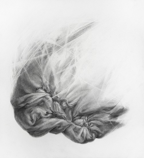 Haley Prestifilippo, LET
Graphite on Paper, 14 x 15 in.
PRE015
$500
Gallery staff will contact you 72 hours after purchase regarding any additional shipping costs.