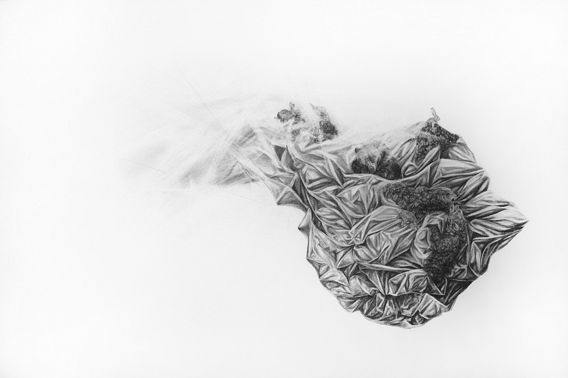 Haley Prestifilippo, ALMOST
Graphite on Paper, 19 x 26 in.
PRE021
$1,200
Gallery staff will contact you 72 hours after purchase regarding any additional shipping costs.