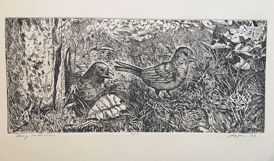 D. J. Lafon, BABY CARDINALS
Ink on Paper, 16 x 23 in. (40.6 x 58.4 cm)
LAF1104-3/10
$750
Gallery staff will contact you 72 hours after purchase regarding any additional shipping costs.