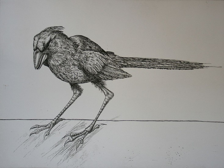 D. J. Lafon, PUNK BIRD
Etching, 21 x 33 in. (53.3 x 83.8 cm)
LAF1121-1/12
$750
Gallery staff will contact you 72 hours after purchase regarding any additional shipping costs.