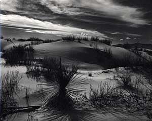 Brett Weston, YUCCA AND DUNES, WHITE SANDS, 1947
Silver Gelatin Print, 10 1/4 x 13 1/2 in. (26 x 34.3 cm)
0041PH
$6,500
Gallery staff will contact you 72 hours after purchase regarding any additional shipping costs.
